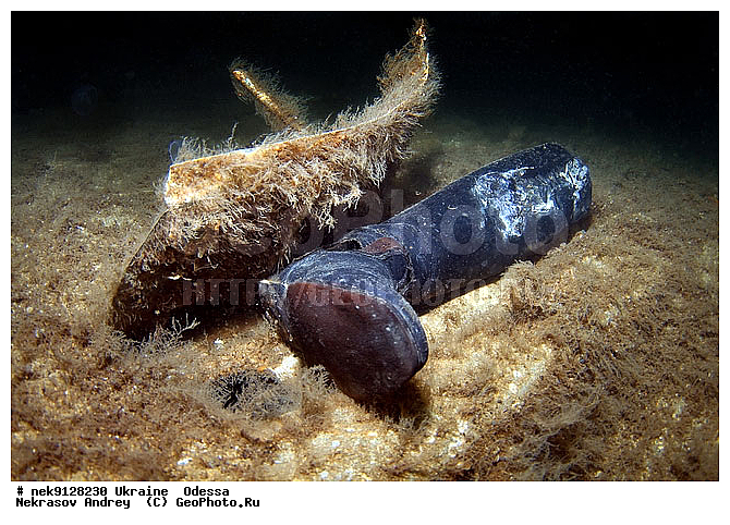 ���, �������� ������� ������ "JU-52", ������, ��� �������, ����, �������, ������, ������ ����, ������, ������, ��������, ���������, ���������������, ����������, ����, �, ����, ������, ������, �����, �������, �������, �����, ����� �� ����, �����, ������, ������, �������, ���, ����������, ����������, ����������, ���������� ������, �����������, ������������, �������, ���������������, ��������, ����, �������, ��, �������, �������, �����, ������, ��������, ������, ���, ���������, ���������, ���������, ���������, ��������� ���, ��� �����, ��������, ���������, ���, ����������� �������, ���, ���-�������, ����, �������, �����, ������, ������, ������������, ������������, ������������, ���������� �����