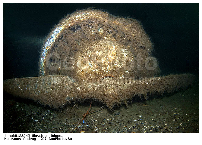 ���, �������� ������� ������ "JU-52", ������, ��� �������, ����, �������, ������, ������ ����, ������, ������, ���������������, ����������, ����, �, ����, ������, ������, �����, �������, �������, �����, ����� �� ����, �����, ������, ������, �������, ���������, ���, ����������, ����������, ����������, ���������� ������, �����������, ������������, �������, ���������������, ��������, �������, ����, �������, ��, ������, ��������, ������, ���, ���������, ���������, ���������, ���������, ��������� ���, ��� �����, ��������, ���������, ���, ���, ���-�������, ����, �������, ������, ������������, ������������, ������������, ���������� �����