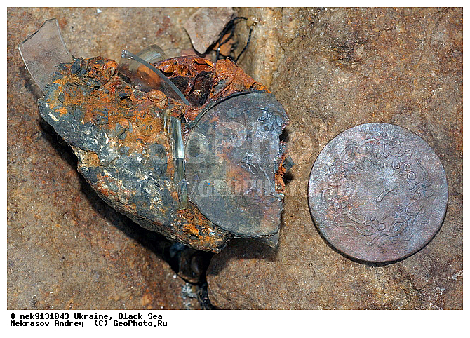 19 ���, 1853�1856, XIX, XIX ���, XIX ����, ��������� �����, ����������, �������, �������� �����, ��� �������, ����, �������, ������, ������ ����, ������, ������, ��������, ���������, ���������������, ����������, ����������, ����, �, ����, ������, ������, �����, �������, �������, �����, ����� �� ����, �����, ������, ������, �������, ���, �������, ����������, ����������, ����������, ���������� ������, �����������, ������������, �������, ���������������, ��������, ������, ����, �������, ��, �������, �������, ������, ��������, �������� ���, ������, ������ �������, ��������, ������, ��������, �������� ����� XIX ����, ���, ���������, ��������� ����������, ���������, ���������, ���������, ��������� ���, ���������, ��� �����, ��������, ���������, ���, ����������� �������, ���, ���-�������, ����, ��������, �������� ������, ������������, ������������, ������������, ���������� �����