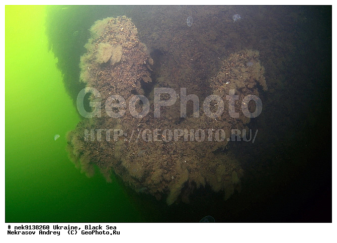 ������, ���, ������, �������� �������, ���, ��� �������, ����, ��������� ������, ������������ ����� ������, �������, ������, ������ ����, ������, ������, ���������������, ����������, ����, �, ����, ������, ������, �����, �������, �������, �����, ����� �� ����, �����, ������, ������, �������, ���, �����, ����������, ����������, ����������, ���������� ������, �����������, ������������, �������, ���������������, �������, ��������, ����, �������, ��, �������, �������, ������, �������� �����, ������ �������, ��������, ������, ���, ���������, ���������, ���������, ���������, ��������� ���, ��� �����, ��������, ���������, ���, ���, ���-�������, ����, ����, �����, ����� ������, ���������, ������������, ������������ �����, ������������, ������������, ������������, �����, ���������� �����