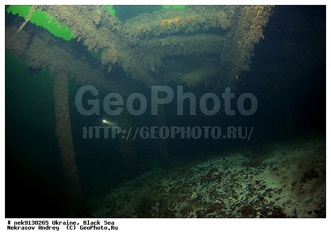 ������, ���, ������, �������� �������, ���, ��� �������, ����, ��������� ������, ������������ ����� ������, �������, ������, ������ ����, ������, ������, ���������������, ����������, ����, �, ����, ������, ������, �����, �������, �������, �����, ����� �� ����, �����, ������, ������, �������, ���, �����, ����������, ����������, ����������, ���������� ������, �����������, ������������, �������, ���������������, �������, ��������, ����, �������, ��, �������, �������, ������, �������� �����, ������ �������, ��������, ������, ���, ���������, ���������, ���������, ���������, ��������� ���, ��� �����, ��������, ���������, ���, ���, ���-�������, ����, ����, �����, ����� ������, ���������, ������������, ������������ �����, ������������, ������������, ������������, ���������� �����