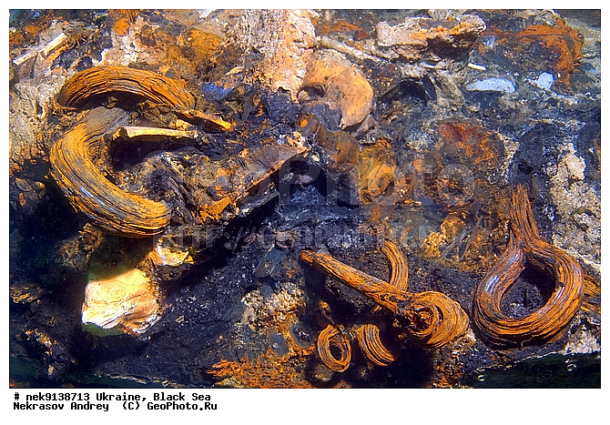 19 ���, 1853�1856, XIX, XIX ���, XIX ����, ��������� �����, ����������, �������, �������� �����, ��� �������, ����, �������, ������, ������ ����, ������, ������, ��������, ���������, ���������������, ����������, ����������, ����, �, ����, ������, ������, �����, �������, �������, �����, ����� �� ����, �����, ������, ������, �������, ���, �������, ����������, ����������, ����������, ���������� ������, �����������, ������������, �������, ��������, ������������, ������������ ������, ���������������, ��������, ����, �������, ��, �������, �������, ������, ��������, �������� ���, �������, �������, ������, ������ �������, ��������, ������, ��������, �������� ����� XIX ����, ���, ���������, ��������� ����������, ���������, ���������, ���������, ��������� ���, ���������, ��� �����, ��������, ������, ���������, ���, ����������� �������, ���, ���-�������, ����, ������������, ������������, ������������, ���������� �����