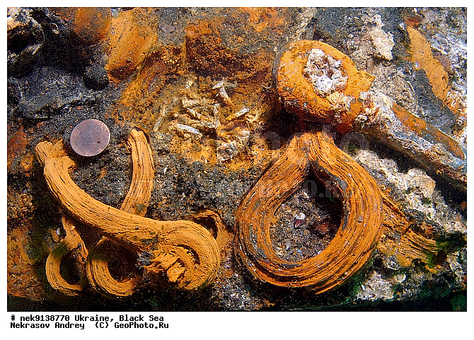 19 ���, 1853�1856, Artefact, XIX, XIX ���, XIX ����, artefacts, artefactum, find, finds, ��������� �����, ����������, �������, �������� �����, ��� �������, ����, �������, ������, ������ ����, ������, ������, ��������, ���������, ���������������, ����������, ����������, ����, �, ����, ������, ������, ������, �����, �������, �����, ����� �� ����, �����, ������, ������, �������, ���, �������, ����������, ����������, ����������, ���������� ������, �����������, ������������, �������, ���������������, ��������, ������, ����, �������, ��, �������, �������, ������, ��������, �������� ���, ������, ������ �������, ��������, ������, ��������, �������� ����� XIX ����, ���, ���������, ��������� ����������, ���������, ���������, ���������, ��������� ���, ���������, ��� �����, ���������, ���, ����������� �������, ���, ���-�������, ����, ��������, �������� ������, ������������, ������������, ������������, ���������� �����