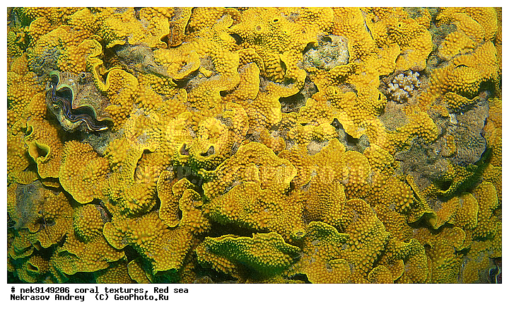 �����, ������, ����� ����, ������� ����, ��������� ���, ��������, ������, ��������, ����, ������, ������ �����, ������, ������, �����, �������������, ������, �������, �������, ����� �������, ��������, ��������, ��������, ����� ����, ����, ������, ����������, ����������, ����������, ���������� ���, �������, ������, ������ ����, ����, �����, �����������, �����, �����������, �������, ������� �����, ������� ��������, ������� �����, �������, �������, ���������, ��������� ����, ���������, �����, ������������, ������������, ���������, ����������, ���������� ��� ����, ���, ���������, ��������� �����������, ��������� �����������, ��������� ����������, ���������, ���������, ��������� �����, ���������, ��������� ����������, ���������, ��������� �����, ��� �����, ��������, ����������, �������, ������, ���, �������, �������, �������, ����, �������� ��������, ��������, ��������, ��������, �������, �����������, �����������, �����������, �������, ����������, ����, �����