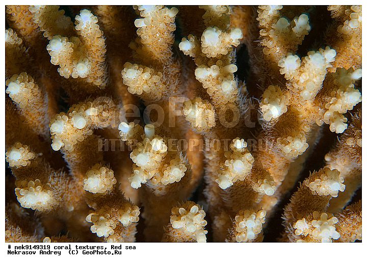 �����, ������, ����� ����, ������� ����, ��������� ���, ��������, ������, ��������, ����, ������, ������ �����, ������, ������, �����, �������������, ������, �������, �������, ����� �������, ��������, ��������, ��������, ����� ����, ����, ������, ����������, ����������, ����������, ���������� ���, �������, ������, ������ ����, ����, �����, �����������, �����, �����������, �������, ������� �����, ������� ��������, ������� �����, �������, �������, ���������, ��������� ����, ���������, �����, ������������, ������������, ���������, ����������, ���������� ��� ����, ���, ���������, ��������� �����������, ��������� �����������, ��������� ����������, ���������, ���������, ��������� �����, ���������, ��������� ����������, ���������, ��������� �����, ��� �����, ����������, �������, ������, ���, �������, �������, �������, ����, �������� ��������, ��������, ��������, ��������, �������, �����������, �����������, �����������, �������, ����������, ����, �����