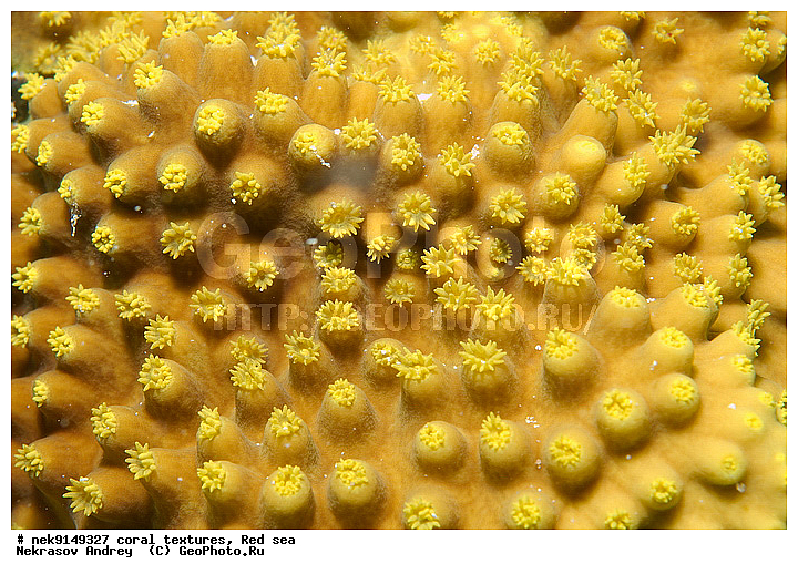 �����, ������, ����� ����, ������� ����, ��������� ���, ��������, ������, ��������, ����, ������, ������ �����, ������, ������, �����, �������������, ������, �������, �������, ����� �������, ��������, ��������, ��������, ����� ����, ����, ������, ����������, ����������, ����������, ���������� ���, �������, ������, ������ ����, ����, �����, �����������, �����, �����������, �������, ������� �����, ������� ��������, ������� �����, �������, �������, ���������, ��������� ����, ���������, �����, ������������, ������������, ���������, ����������, ���������� ��� ����, ���, ���������, ��������� �����������, ��������� �����������, ��������� ����������, ���������, ���������, ��������� �����, ���������, ��������� ����������, ���������, ��������� �����, ��� �����, ����������, �������, ������, ���, �������, �������, �������, ����, �������� ��������, ��������, ��������, ��������, �������, �����������, �����������, �����������, �������, ����������, ����, �����