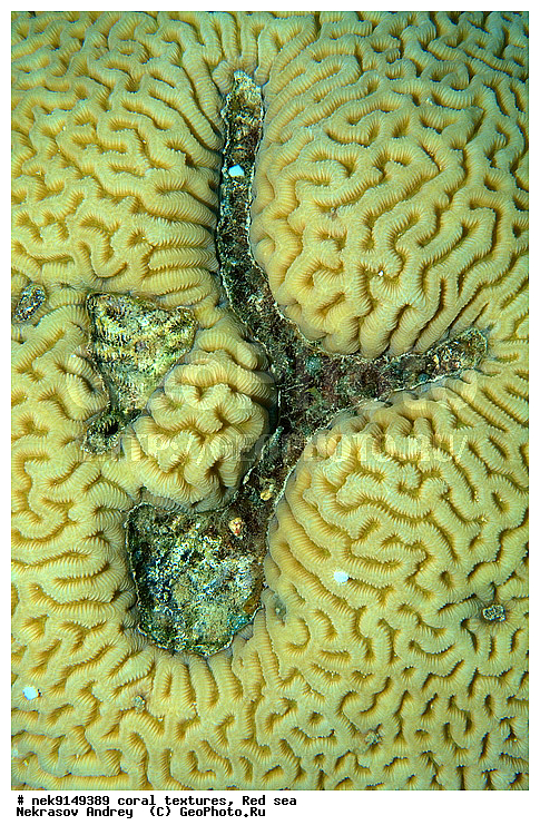 �����, ������, ����� ����, ������� ����, ��������� ���, ��������, ������, ��������, ����, ������, ������ �����, ������, ������, �����, �������������, ������, �������, �������, ����� �������, ��������, ��������, ��������, ����� ����, ����, ������, ����������, ����������, ����������, ���������� ���, �������, ������, ������ ����, ����, �����, �����������, �����, �����������, �������, ������� �����, ������� ��������, ������� �����, �������, �������, ���������, ��������� ����, ���������, �����, ������������, ������������, ���������, ����������, ���������� ��� ����, ���, ���������, ��������� �����������, ��������� �����������, ��������� ����������, ���������, ���������, ��������� �����, ���������, ��������� ����������, ���������, ��������� �����, ��� �����, ����������, �������, ������, ���, �������, �������, �������, ����, �������� ��������, ��������, ��������, ��������, �������, �����������, �����������, �����������, �������, ����������, ����, �����