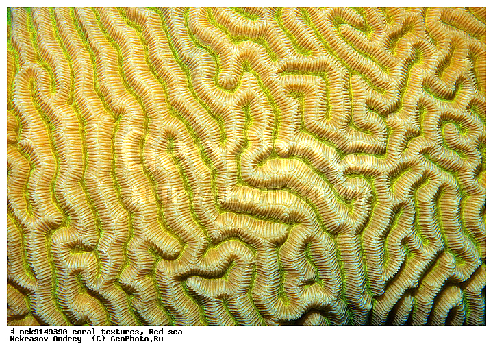 �����, ������, ����� ����, ������� ����, ��������� ���, ��������, ������, ��������, ����, ������, ������ �����, ������, ������, �����, �������������, ������, �������, �������, ����� �������, ��������, ��������, ��������, ����� ����, ����, ������, ����������, ����������, ����������, ���������� ���, �������, ������, ������ ����, ����, �����, �����������, �����, �����������, �������, ������� �����, ������� ��������, ������� �����, �������, �������, ���������, ��������� ����, ���������, �����, ������������, ������������, ���������, ����������, ���������� ��� ����, ���, ���������, ��������� �����������, ��������� �����������, ��������� ����������, ���������, ���������, ��������� �����, ���������, ��������� ����������, ���������, ��������� �����, ��� �����, ����������, �������, ������, ���, �������, �������, �������, ����, �������� ��������, ��������, ��������, ��������, �������, �����������, �����������, �����������, �������, ����������, ����, �����