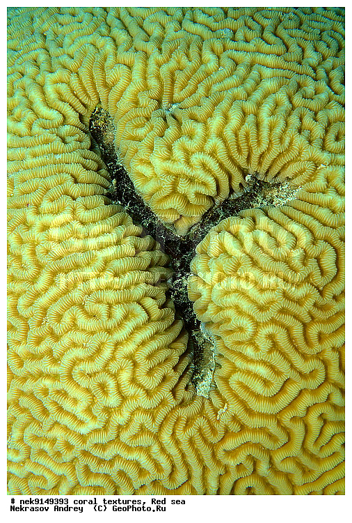 �����, ������, ����� ����, ������� ����, ��������� ���, ��������, ������, ��������, ����, ������, ������ �����, ������, ������, �����, �������������, ������, �������, �������, ����� �������, ��������, ��������, ��������, ����� ����, ����, ������, ����������, ����������, ����������, ���������� ���, �������, ������, ������ ����, ����, �����, �����������, �����, �����������, �������, ������� �����, ������� ��������, ������� �����, �������, �������, ���������, ��������� ����, ���������, �����, ������������, ������������, ���������, ����������, ���������� ��� ����, ���, ���������, ��������� �����������, ��������� �����������, ��������� ����������, ���������, ���������, ��������� �����, ���������, ��������� ����������, ���������, ��������� �����, ��� �����, ����������, �������, ������, ���, �������, �������, �������, ����, �������� ��������, ��������, ��������, ��������, �������, �����������, �����������, �����������, �������, ����������, ����, �����