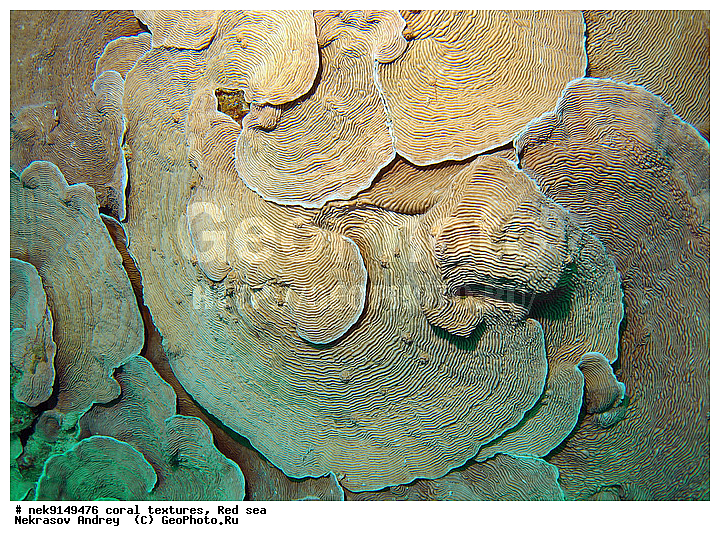 �����, ������, ����� ����, ������� ����, ��������� ���, ��������, ������, ��������, ����, ������, ������ �����, ������, ������, �����, �������������, ������, �������, �������, ����� �������, ��������, ��������, ��������, ����� ����, ����, ������, ����������, ����������, ����������, ���������� ���, �������, ������, ������ ����, ����, �����, �����������, �����, �����������, �������, ������� �����, ������� ��������, ������� �����, �������, �������, ���������, ��������� ����, ���������, �����, ������������, ������������, ���������, ����������, ���������� ��� ����, ���, ���������, ��������� �����������, ��������� �����������, ��������� ����������, ���������, ���������, ��������� �����, ���������, ��������� ����������, ���������, ��������� �����, ��� �����, ����������, �������, ������, ���, �������, �������, �������, ����, �������� ��������, ��������, ��������, ��������, �������, �����������, �����������, �����������, �������, ����������, ����, �����