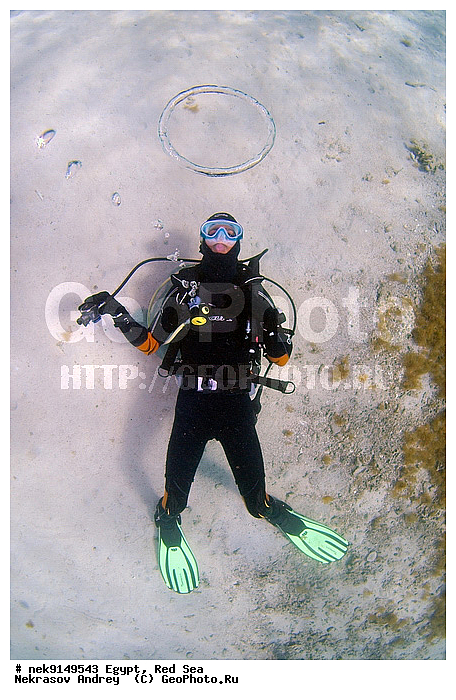 �������, �����, ������, ����� ����, ������� ����, ��������� ���, �����������, ������, ����, ������, ������ �����, ������, ������, �����, �������������, ������, �������, ����� �������, ��������, ��������, ��������, ����� ����, ����������, ����������, ����������, �������, ����, �������, ������� �����, ������� ��������, ������� �����, �������, �������, ���������, ��������� ����, �����, ������������, ������������, ���������, ����������, ���������� ��� ����, ���, ���������, ��������� ����������, ���������, ���������, ���������, ��������� ����������, ���������, ��������� �����, ��������, �������, �������, �������, �������, ����, ��������, ��������, �������, �����������, �����������, �����������, ����������