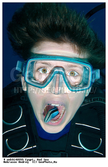 Actinopterygii, Labroide, Labroides, Labroides dimidiatus, Perciformes, ���������, �������, �����, ������, ����� ����, ������� ����, ��������� ���, ����-�����������, �����������, ������, ����, ������, ������ �����, ������, ������, �����, �������, �������������, �����, ������, �������, ����� �������, ��������, ��������, ��������, ����� ����, ����������, ����������, ����������, �������, ����, �������, ������� �����, ������� ��������, ������� �����, �������, �������, ���������, ��������� ����, �����, ������������, ������������, ���������, �������, ����������, ���������� ��� ����, ���, ���������, ��������� ����������, ���������, ���������, ���������, ��������� ����������, ���������, ��������� �����, �������, �������, �������, �������, ����, ���, ����, ����-����������, ��������, ��������, �������, �����������, �����������, �����������, ����������, �������, �����������, ������� � ��������� ���, ������� � �������