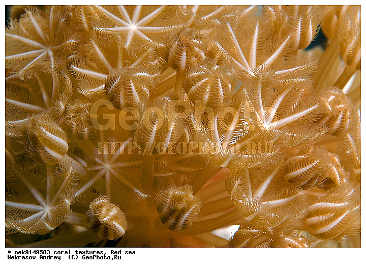 �����, ������, ����� ����, ������� ����, ��������� ���, ��������, ������, ��������, ����, ������, ������ �����, ������, ������, �����, �������������, ������, �������, �������, ����� �������, ��������, ��������, ��������, ����� ����, ����, ������, ����������, ����������, ����������, ���������� ���, �������, ������, ������ ����, ����, �����, �����������, �����, �����������, �������, ������� �����, ������� ��������, ������� �����, �������, �������, ���������, ��������� ����, ���������, �����, ������������, ������������, ���������, ����������, ���������� ��� ����, ���, ���������, ��������� �����������, ��������� �����������, ��������� ����������, ���������, ���������, ��������� �����, ���������, ��������� ����������, ���������, ��������� �����, ��� �����, ��������, ����������, �������, ������, ���, �������, �������, �������, ����, �������� ��������, ��������, ��������, ��������, �������, �����������, �����������, �����������, �������, ����������, ����, �����