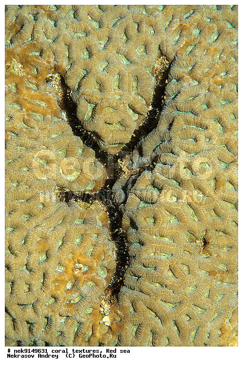 �����, ������, ����� ����, ������� ����, ��������� ���, ��������, ������, ��������, ����, ������, ������ �����, ������, ������, �����, �������������, ������, �������, �������, ����� �������, ��������, ��������, ��������, ����� ����, ����, ������, ����������, ����������, ����������, ���������� ���, �������, ������, ������ ����, ����, �����, �����������, �����, �����������, �������, ������� �����, ������� ��������, ������� �����, �������, �������, ���������, ��������� ����, ���������, �����, ������������, ������������, ���������, ����������, ���������� ��� ����, ���, ���������, ��������� �����������, ��������� �����������, ��������� ����������, ���������, ���������, ��������� �����, ���������, ��������� ����������, ���������, ��������� �����, ��� �����, ��������, ����������, �������, ������, ���, �������, �������, �������, ����, �������� ��������, ��������, ��������, ��������, �������, �����������, �����������, �����������, �������, ����������, ����, �����