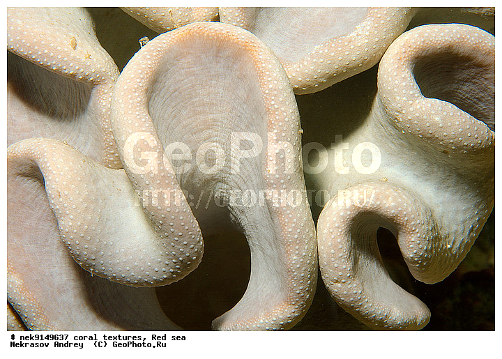 �����, ������, ����� ����, ������� ����, ��������� ���, ��������, ������, ��������, ����, ������, ������ �����, ������, ������, �����, �������������, ������, �������, �������, ����� �������, ��������, ��������, ��������, ����� ����, ����, ������, ����������, ����������, ����������, ���������� ���, �������, ������, ������ ����, ����, �����, �����������, �����, �����������, �������, ������� �����, ������� ��������, ������� �����, �������, �������, ���������, ��������� ����, ���������, �����, ������������, ������������, ���������, ����������, ���������� ��� ����, ���, ���������, ��������� �����������, ��������� �����������, ��������� ����������, ���������, ���������, ��������� �����, ���������, ��������� ����������, ���������, ��������� �����, ��� �����, ��������, ����������, �������, ������, ���, �������, �������, �������, ����, �������� ��������, ��������, ��������, ��������, �������, �����������, �����������, �����������, �������, ����������, ����, �����