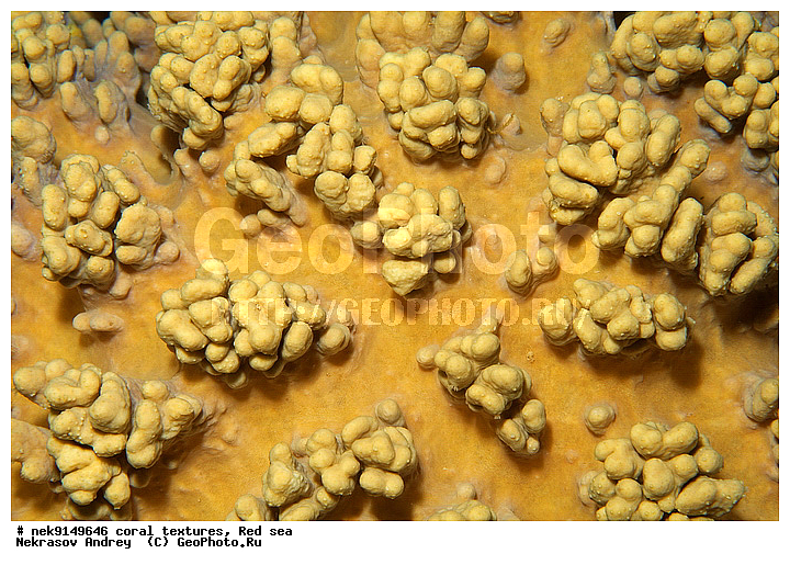 �����, ������, ����� ����, ������� ����, ��������� ���, ��������, ������, ��������, ����, ������, ������ �����, ������, ������, �����, �������������, ������, �������, �������, ����� �������, ��������, ��������, ��������, ����� ����, ����, ������, ����������, ����������, ����������, ���������� ���, �������, ������, ������ ����, ����, �����, �����������, �����, �����������, �������, ������� �����, ������� ��������, ������� �����, �������, �������, ���������, ��������� ����, ���������, �����, ������������, ������������, ���������, ����������, ���������� ��� ����, ���, ���������, ��������� �����������, ��������� �����������, ��������� ����������, ���������, ���������, ��������� �����, ���������, ��������� ����������, ���������, ��������� �����, ��� �����, ��������, ����������, �������, ������, ���, �������, �������, �������, ����, �������� ��������, ��������, ��������, ��������, �������, �����������, �����������, �����������, �������, ����������, ����, �����