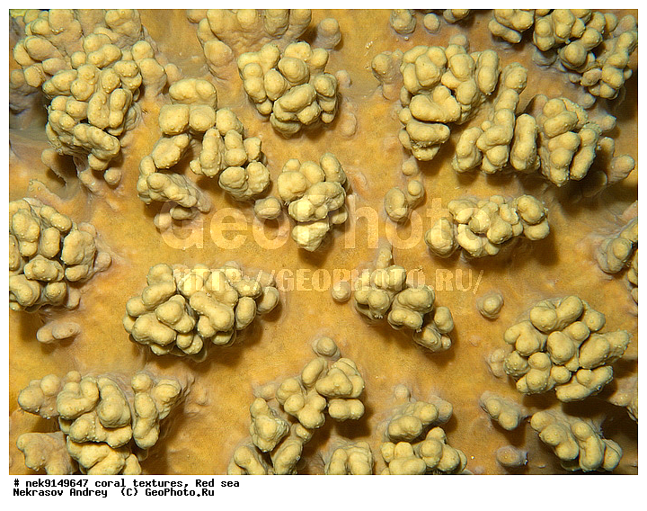 �����, ������, ����� ����, ������� ����, ��������� ���, ��������, ������, ��������, ����, ������, ������ �����, ������, ������, �����, �������������, ������, �������, �������, ����� �������, ��������, ��������, ��������, ����� ����, ����, ������, ����������, ����������, ����������, ���������� ���, �������, ������, ������ ����, ����, �����, �����������, �����, �����������, �������, ������� �����, ������� ��������, ������� �����, �������, �������, ���������, ��������� ����, ���������, �����, ������������, ������������, ���������, ����������, ���������� ��� ����, ���, ���������, ��������� �����������, ��������� �����������, ��������� ����������, ���������, ���������, ��������� �����, ���������, ��������� ����������, ���������, ��������� �����, ��� �����, ����������, �������, ������, ���, �������, �������, �������, ����, �������� ��������, ��������, ��������, ��������, �������, �����������, �����������, �����������, �������, ����������, ����, �����