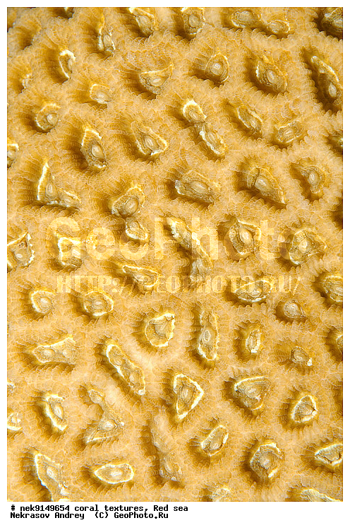 �����, ������, ����� ����, ������� ����, ��������� ���, ��������, ������, ��������, ����, ������, ������ �����, ������, ������, �����, �������������, ������, �������, �������, ����� �������, ��������, ��������, ��������, ����� ����, ����, ������, ����������, ����������, ����������, ���������� ���, �������, ������, ������ ����, ����, �����, �����������, �����, �����������, �������, ������� �����, ������� ��������, ������� �����, �������, �������, ���������, ��������� ����, ���������, �����, ������������, ������������, ���������, ����������, ���������� ��� ����, ���, ���������, ��������� �����������, ��������� �����������, ��������� ����������, ���������, ���������, ��������� �����, ���������, ��������� ����������, ���������, ��������� �����, ��� �����, ��������, ����������, �������, ������, ���, �������, �������, �������, ����, �������� ��������, ��������, ��������, ��������, �������, �����������, �����������, �����������, �������, ����������, ����, �����