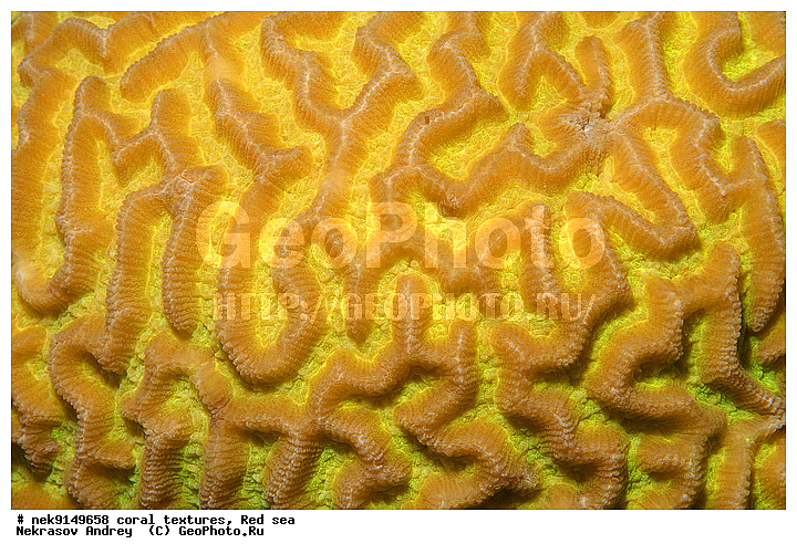 �����, ������, ����� ����, ������� ����, ��������� ���, ��������, ������, ��������, ����, ������, ������ �����, ������, ������, �����, �������������, ������, �������, �������, ����� �������, ��������, ��������, ��������, ����� ����, ����, ������, ����������, ����������, ����������, ���������� ���, �������, ������, ������ ����, ����, �����, �����������, �����, �����������, �������, ������� �����, ������� ��������, ������� �����, �������, �������, ���������, ��������� ����, ���������, �����, ������������, ������������, ���������, ����������, ���������� ��� ����, ���, ���������, ��������� �����������, ��������� �����������, ��������� ����������, ���������, ���������, ��������� �����, ���������, ��������� ����������, ���������, ��������� �����, ��� �����, ��������, ����������, �������, ������, ���, �������, �������, �������, ����, �������� ��������, ��������, ��������, ��������, �������, �����������, �����������, �����������, �������, ����������, ����, �����