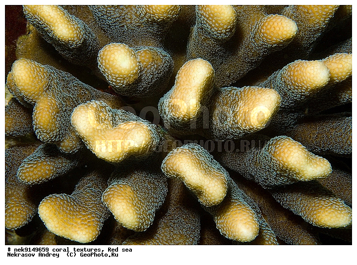 �����, ������, ����� ����, ������� ����, ��������� ���, ��������, ������, ��������, ����, ������, ������ �����, ������, ������, �����, �������������, ������, �������, �������, ����� �������, ��������, ��������, ��������, ����� ����, ����, ������, ����������, ����������, ����������, ���������� ���, �������, ������, ������ ����, ����, �����, �����������, �����, �����������, �������, ������� �����, ������� ��������, ������� �����, �������, �������, ���������, ��������� ����, ���������, �����, ������������, ������������, ���������, ����������, ���������� ��� ����, ���, ���������, ��������� �����������, ��������� �����������, ��������� ����������, ���������, ���������, ��������� �����, ���������, ��������� ����������, ���������, ��������� �����, ��� �����, ����������, �������, ������, ���, �������, �������, �������, ����, �������� ��������, ��������, ��������, ��������, �������, �����������, �����������, �����������, �������, ����������, ����, �����