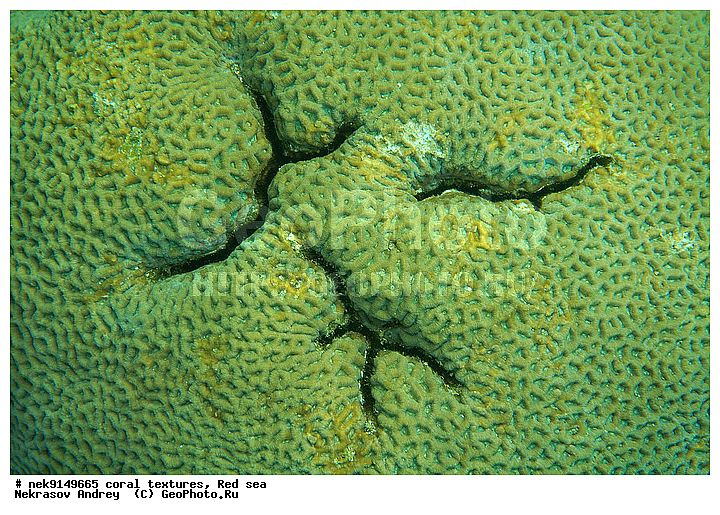 �����, ������, ����� ����, ������� ����, ��������� ���, ��������, ������, ��������, ����, ������, ������ �����, ������, ������, �����, �������������, ������, �������, �������, ����� �������, ��������, ��������, ��������, ����� ����, ����, ������, ����������, ����������, ����������, ���������� ���, �������, ������, ������ ����, ����, �����, �����������, �����, �����������, �������, ������� �����, ������� ��������, ������� �����, �������, �������, ���������, ��������� ����, ���������, �����, ������������, ������������, ���������, ����������, ���������� ��� ����, ���, ���������, ��������� �����������, ��������� �����������, ��������� ����������, ���������, ���������, ��������� �����, ���������, ��������� ����������, ���������, ��������� �����, ��� �����, ��������, ����������, �������, ������, ���, �������, �������, �������, ����, �������� ��������, ��������, ��������, ��������, �������, �����������, �����������, �����������, �������, ����������, ����, �����