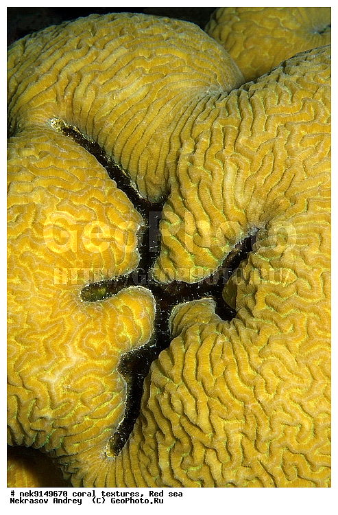 �����, ������, ����� ����, ������� ����, ��������� ���, ��������, ������, ��������, ����, ������, ������ �����, ������, ������, �����, �������������, ������, �������, �������, ����� �������, ��������, ��������, ��������, ����� ����, ����, ������, ����������, ����������, ����������, ���������� ���, �������, ������, ������ ����, ����, �����, �����������, �����, �����������, �������, ������� �����, ������� ��������, ������� �����, �������, �������, ���������, ��������� ����, ���������, �����, ������������, ������������, ���������, ����������, ���������� ��� ����, ���, ���������, ��������� �����������, ��������� �����������, ��������� ����������, ���������, ���������, ��������� �����, ���������, ��������� ����������, ���������, ��������� �����, ��� �����, ��������, ����������, �������, ������, ���, �������, �������, �������, ����, �������� ��������, ��������, ��������, ��������, �������, �����������, �����������, �����������, �������, ����������, ����, �����