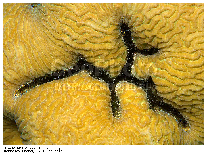 �����, ������, ����� ����, ������� ����, ��������� ���, ��������, ������, ��������, ����, ������, ������ �����, ������, ������, �����, �������������, ������, �������, �������, ����� �������, ��������, ��������, ��������, ����� ����, ����, ������, ����������, ����������, ����������, ���������� ���, �������, ������, ������ ����, ����, �����, �����������, �����, �����������, �������, ������� �����, ������� ��������, ������� �����, �������, �������, ���������, ��������� ����, ���������, �����, ������������, ������������, ���������, ����������, ���������� ��� ����, ���, ���������, ��������� �����������, ��������� �����������, ��������� ����������, ���������, ���������, ��������� �����, ���������, ��������� ����������, ���������, ��������� �����, ��� �����, ��������, ����������, �������, ������, ���, �������, �������, �������, ����, �������� ��������, ��������, ��������, ��������, �������, �����������, �����������, �����������, �������, ����������, ����, �����