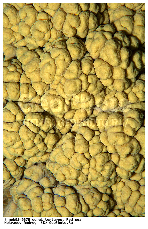 �����, ������, ����� ����, ������� ����, ��������� ���, ��������, ������, ��������, ����, ������, ������ �����, ������, ������, �����, �������������, ������, �������, �������, ����� �������, ��������, ��������, ��������, ����� ����, ����, ������, ����������, ����������, ����������, ���������� ���, �������, ������, ������ ����, ����, �����, �����������, �����, �����������, �������, ������� �����, ������� ��������, ������� �����, �������, �������, ���������, ��������� ����, ���������, �����, ������������, ������������, ���������, ����������, ���������� ��� ����, ���, ���������, ��������� �����������, ��������� �����������, ��������� ����������, ���������, ���������, ��������� �����, ���������, ��������� ����������, ���������, ��������� �����, ��� �����, ��������, ����������, �������, ������, ���, �������, �������, �������, ����, �������� ��������, ��������, ��������, ��������, �������, �����������, �����������, �����������, �������, ����������, ����, �����