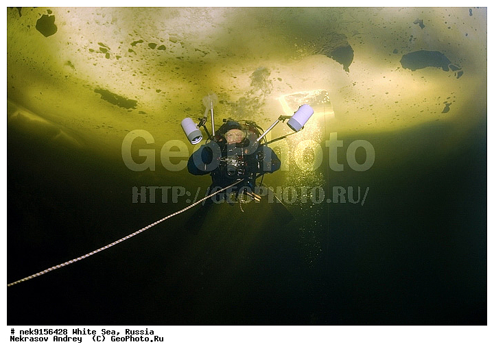ICE diving, ice-diving, icediving, �������, �����������, �����������, �����������, �����������, ����� ����, ����������, ����������, ����������, ������������� �����, �������, ����������, ��������� ���, ������� �����, ��������, �����������, ������������, �����, �����, ����, ������, ������, ������, �����, ������, �������, ���������, ����, ���, �������, ����������, ����������, ������, �������, �������, �������, �������, �����, ������, �����, ����, �����, ����, ������, ������, ��������, ���, ���������, ��������� ����������, ���������, ��������� ��������, ���������, ���������, ��������� ���, ��������, ���������, ���������, ��������� ��������, ���������, ���������, ��������� �������, ����������, ���������, ��������, �����������, �����������, �����, ������, ��������, ��������, ��������, ������, �����, ����, �������, �����, �����, ������, ������, �������, �������� ����, ����������� ����, ����� ����, �����������, �����������, ����� ����