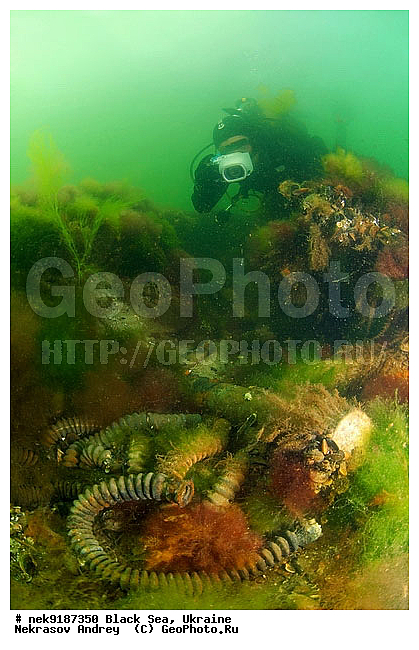 ���, ����������� ����, ������, ���������, ������ �����������, ���������� �����, ���, ��� �������, ����, ������, ����������� ����, �������, ������, ������ ����, ������, ������, ��������, ���������������, ����������, �, ����, ������, ������, �����, �������, �������, �����, ����� �� ����, �����, ������, ������, �������, ���, �����, ����������, ����������, ���������� ������, �����������, ������������, �������, ���������������, �������, ��������, ������, ����, �������, ��, ������, ��������, ������, �������, ���, ���������, ���������, ���������, ��������� ���, ��������, ����������, ���������, ���, ���-�������, ����, ����, �����, ������������, ������������, ������������, ���������� �����