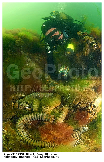 ���, ����������� ����, ������, ���������, ������ �����������, ���������� �����, ���, ��� �������, ����, ������, ����������� ����, �������, ������, ������ ����, ������, ������, ��������, ���������������, ����������, �, ����, ������, ������, �����, �������, �������, �����, ����� �� ����, �����, ������, ������, �������, ���, �����, ����������, ����������, ���������� ������, �����������, ������������, �������, ���������������, �������, ��������, ������, ����, �������, ��, ������, ��������, ������, �������, ���, ���������, ���������, ���������, ��������� ���, ��������, ����������, ���������, ���, ���-�������, ����, ����, �����, ������������, ������������, ������������, ���������� �����