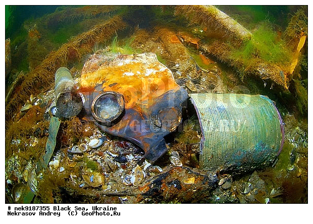 ���, ����������� ����, ������, ���������, ������ �����������, ���������� �����, ���, ��� �������, ����, ������, ����������� ����, �������, ������, ������ ����, ������, ������, ��������, ��������, ���������, ���������������, ����������, �, ����, ������, ������, �����, �������, �������, �����, ����� �� ����, �����, ������, ������, �������, ���, �����, ����������, ����������, ���������� ������, �����������, ������������, �������, ���������������, �������, ��������, ������, ����, �������, ��, �������, �������, ������, ��������, ������, �������, ���, ���������, ���������, ���������, ���������, ��������� ���, ��������, ����������, ���������, ����������� �������, ���, ���-�������, ����, ����, �����, ������������, ������������, ������������, ���������� �����