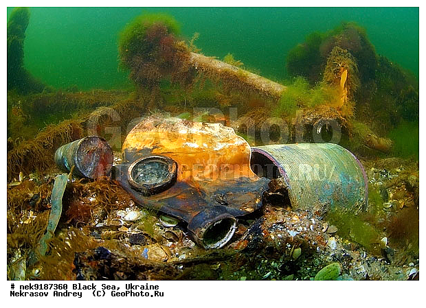 ���, ����������� ����, ������, ���������, ������ �����������, ���������� �����, ���, ��� �������, ����, ������, ����������� ����, �������, ������, ������ ����, ������, ������, ��������, ��������, ���������, ���������������, ����������, �, ����, ������, ������, �����, �������, �������, �����, ����� �� ����, �����, ������, ������, �������, ���, �����, ����������, ����������, ���������� ������, �����������, ������������, �������, ���������������, �������, ��������, ������, ����, �������, ��, �������, �������, ������, ��������, ������, �������, ���, ���������, ���������, ���������, ��������� ���, ��������, ����������, ���������, ����������� �������, ���, ���-�������, ����, ����, �����, ������������, ������������, ������������, ���������� �����