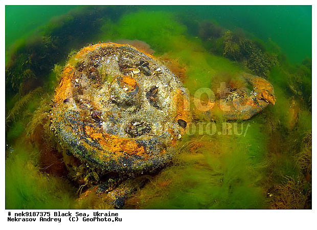 ���, ����������� ����, ������, ���������, ������ �����������, ���������� �����, ���, ��� �������, ����, ������, ����������� ����, �������, ������, ������ ����, ������, ������, ���������������, ����������, �, ����, ������, ������, ������, �����, �������, �������, �����, ����� �� ����, �����, ������, ������, �������, ���, �����, ����������, ����������, ���������� ������, �����������, ������������, �������, ���������������, �������, ��������, ������, ����, �������, ��, ������, ��������, ������, �������, ���, ���������, ���������, ���������, ���������, ��������� ���, ���������, ���, ���-�������, ����, ����, �����, ������������, ������������, ������������, ���������� �����