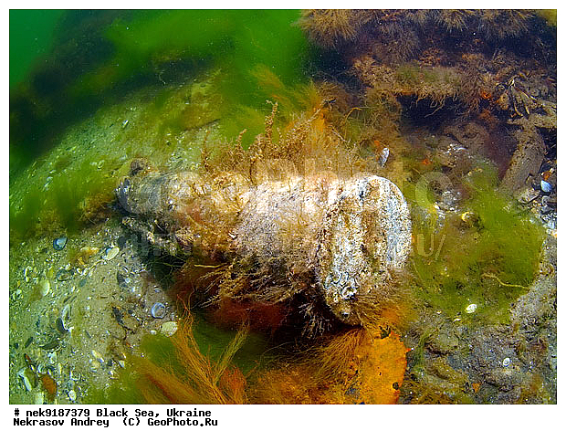 ���, ����������� ����, ������, ���������, ������ �����������, ���������� �����, ���, ��� �������, ����, ������, ����������� ����, �������, ������, ������ ����, ������, ������, ���������������, ����������, �, ����, ������, ������, ������, �����, �������, �����, ����� �� ����, �����, ������, ������, �������, ���, �����, ����������, ����������, ���������� ������, �����������, ������������, �������, ���������������, �������, ��������, ������, ����, �������, ��, ������, ��������, ������, �������, ���, ���������, ���������, ���������, ���������, ��������� ���, ���������, ���, ���-�������, ����, ����, �����, ������������, ������������, ������������, ���������� �����