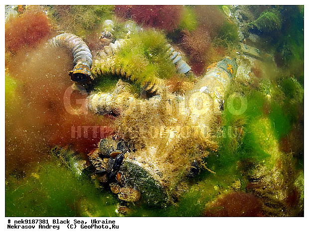 ���, ����������� ����, ������, ���������, ������ �����������, ���������� �����, ���, ��� �������, ����, ������, ����������� ����, �������, ������, ������ ����, ������, ������, ���������������, ����������, ����������, �, ����, ������, ������, ������, �����, �������, �����, ����� �� ����, �����, ������, ������, �������, ���, �����, ����������, ����������, ���������� ������, �����������, ������������, �������, ���������������, �������, ��������, ������, ����, �������, ��, ������, ��������, ������, �������, ���, ���������, ���������, ���������, ���������, ��������� ���, ���������, ���, ���-�������, ����, ������, �������, ����, �����, ������������, ������������, ������������, ���������� �����