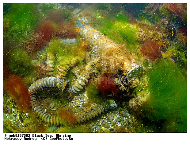 ���, ����������� ����, ������, ���������, ������ �����������, ���������� �����, ���, ��� �������, ����, ������, ����������� ����, �������, ������, ������ ����, ������, ������, ���������������, ����������, ����������, �, ����, ������, ������, ������, �����, �������, �����, ����� �� ����, �����, ������, ������, �������, ���, �����, ����������, ����������, ���������� ������, �����������, ������������, �������, ���������������, �������, ��������, ������, ����, �������, ��, ������, ��������, ������, �������, ���, ���������, ���������, ���������, ���������, ��������� ���, ���������, ���, ���-�������, ����, ������, �������, ����, �����, ������������, ������������, ������������, ���������� �����