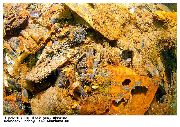 ���, ����������� ����, ������, ���������, ������ �����������, ���������� �����, ���, ��� �������, ����, ������, ����������� ����, �������, ������, ������ ����, ������, ������, ���������������, ����������, ����������, �, ����, ������, ������, ������, �����, �������, �����, ����� �� ����, �����, ������, ������, �������, ���, �����, ����������, ����������, ���������� ������, �����������, ������������, �������, ���������������, �������, ��������, ������, ����, �������, ��, ������, ��������, ������, �������, ������, �������, ���, ���������, ���������, ���������, ���������, ��������� ���, ����, ����, ���������, ���, ���-�������, ����, ����, �����, ������������, ������������, ������������, ����, ���������� �����