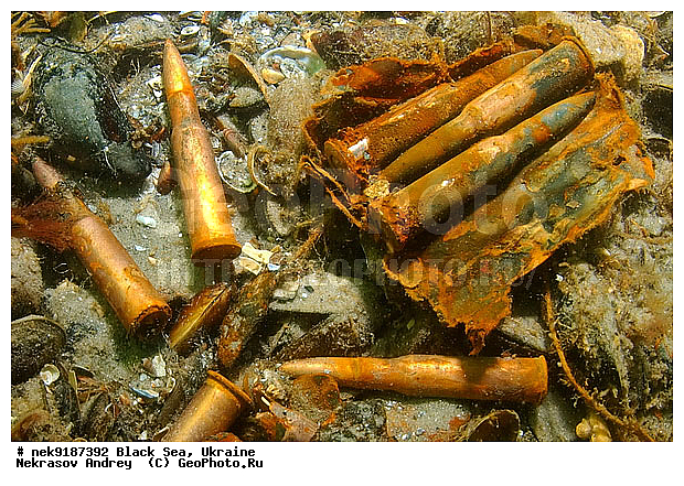 ���, ����������� ����, ������, ���������, ������ �����������, ���������� �����, ���, ��� �������, ����, ������, ����������� ����, �������, ������, ������ ����, ������, ������, ���������������, ����������, ����������, �, ����, ������, ������, ������, �����, �������, �����, ����� �� ����, �����, ������, ������, �������, ���, �����, ����������, ����������, ���������� ������, �����������, ������������, �������, ���������������, �������, ��������, ������, ����, �������, ��, ������, ��������, ������, �������, ������, �������, ���, ���������, ���������, ���������, ���������, ��������� ���, ����, ����, ���������, ���, ���-�������, ����, ����, �����, ������������, ������������, ������������, ����, ���������� �����