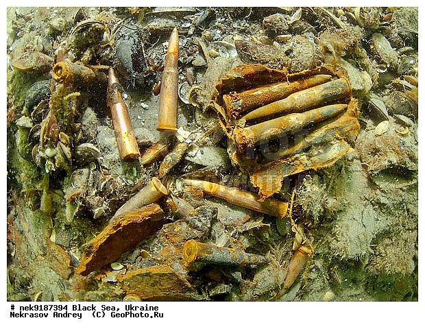 ���, ����������� ����, ������, ���������, ������ �����������, ���������� �����, ���, ��� �������, ����, ������, ����������� ����, �������, ������, ������ ����, ������, ������, ���������������, ����������, ����������, �, ����, ������, ������, ������, �����, �������, �����, ����� �� ����, �����, ������, ������, �������, ���, �����, ����������, ����������, ���������� ������, �����������, ������������, �������, ���������������, �������, ��������, ������, ����, �������, ��, ������, ��������, ������, �������, ������, �������, ���, ���������, ���������, ���������, ���������, ��������� ���, ����, ����, ���������, ���, ���-�������, ����, ����, �����, ������������, ������������, ������������, ����, ���������� �����