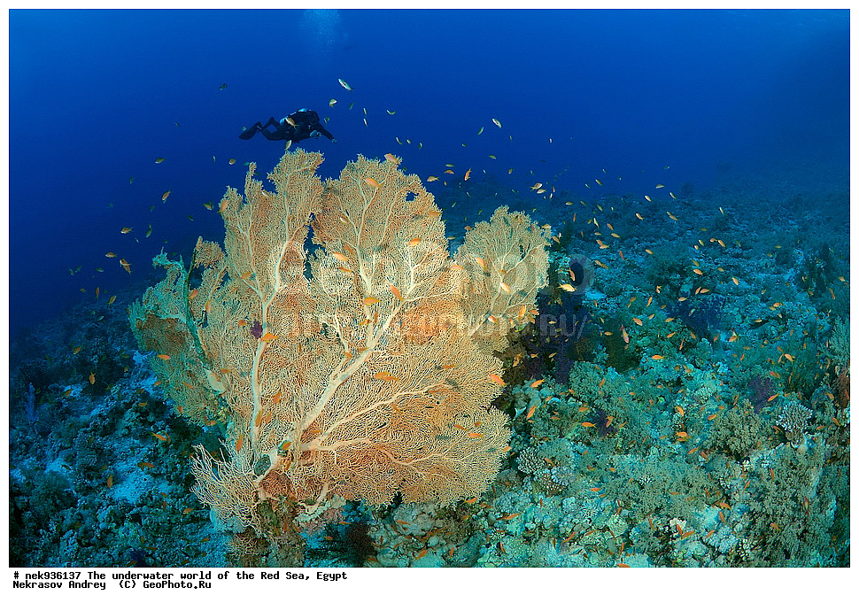 ��������� ���, ��� �����, ������� ����, ����, ��������� ����������, ������, ��������� ���, ��������� ����������, ������� ����, ������, ���������, ���������, ��� �����, ����, ����, �����, �������, ������, ������������, ��������� ��������, �����������, ���������, �����, ������, ������ 