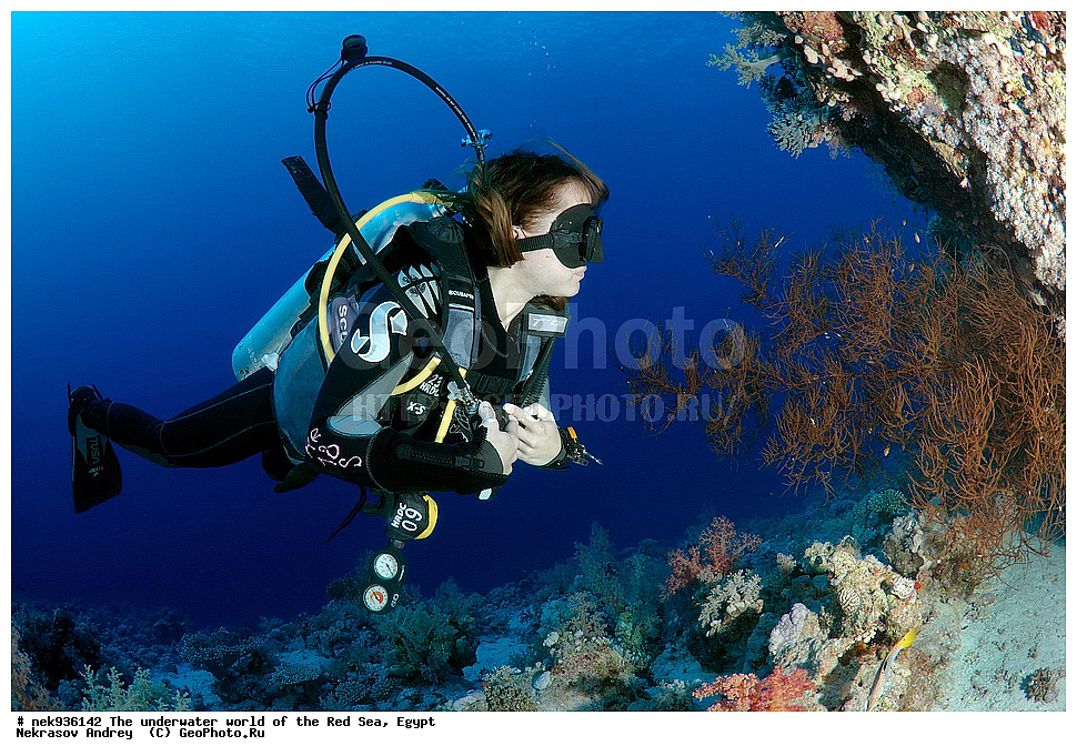 ��������� ���, ��� �����, ������� ����, ����, ��������� ����������, ������, ��������� ���, ��������� ����������, ������� ����, ������, ���������, ���������, ��� �����, ����, ����, �����, �������, ������, ������������, ��������� ��������, �����������, ���������, �����, ������, ������ 