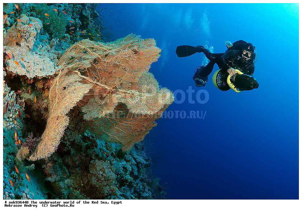 ��������� ���, ��� �����, ������� ����, ����, ��������� ����������, ������, ��������� ���, ��������� ����������, ������� ����, ������, ���������, ���������, ��� �����, ����, ����, �����, �������, ������, ������������, ��������� ��������, �����������, ���������, �����, ������, ������ 