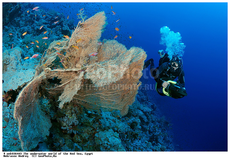 ��������� ���, ��� �����, ������� ����, ����, ��������� ����������, ������, ��������� ���, ��������� ����������, ������� ����, ������, ���������, ���������, ��� �����, ����, ����, �����, �������, ������, ������������, ��������� ��������, �����������, ���������, �����, ������, ������ 