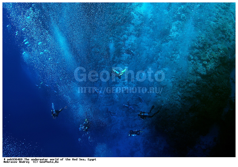 ��������� ���, ��� �����, ������� ����, ����, ��������� ����������, ������, ��������� ���, ��������� ����������, ������� ����, ������, ���������, ���������, ��� �����, ����, ����, �����, �������, ������, ������������, ��������� ��������, �����������, ���������, �����, ������, ������ 