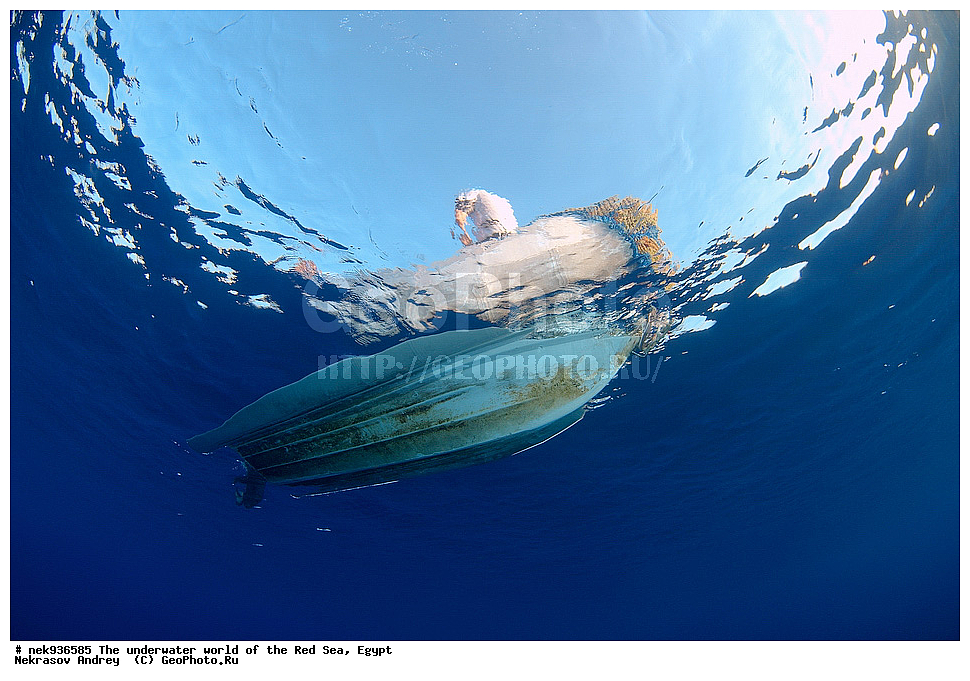 ��������� ���, ��� �����, ������� ����, ����, ��������� ����������, ������, ��������� ���, ��������� ����������, ������� ����, ������, ���������, ���������, ��� �����, ����, ����, �����, �������, ������, ������������, ��������� ��������, �����������, ���������, �����, ������, ������ 