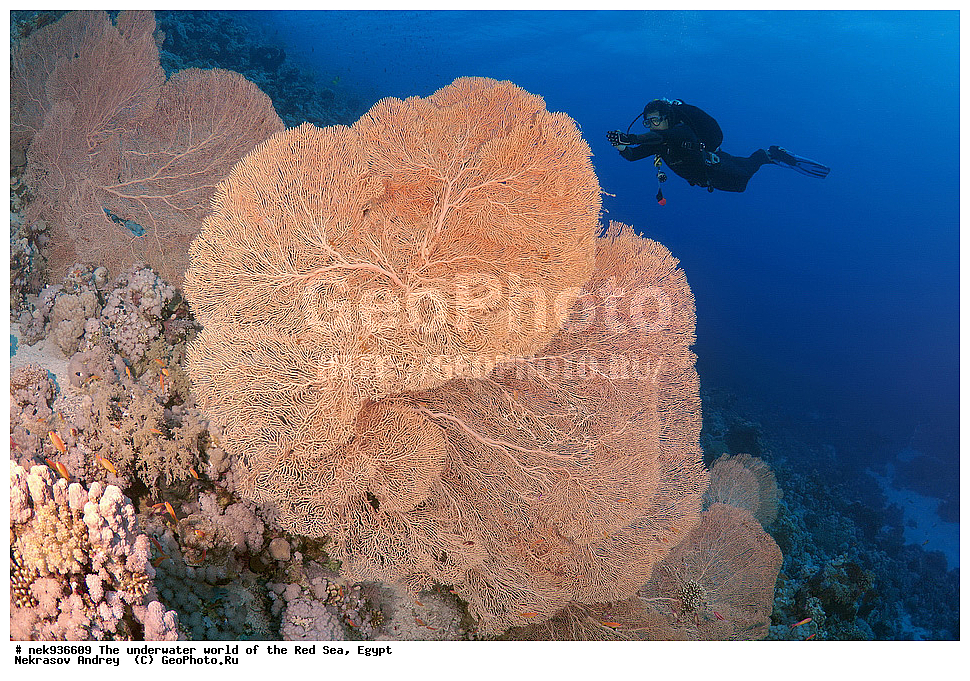 ��������� ���, ��� �����, ������� ����, ����, ��������� ����������, ������, ��������� ���, ��������� ����������, ������� ����, ������, ���������, ���������, ��� �����, ����, ����, �����, �������, ������, ������������, ��������� ��������, �����������, ���������, �����, ������, ������ 