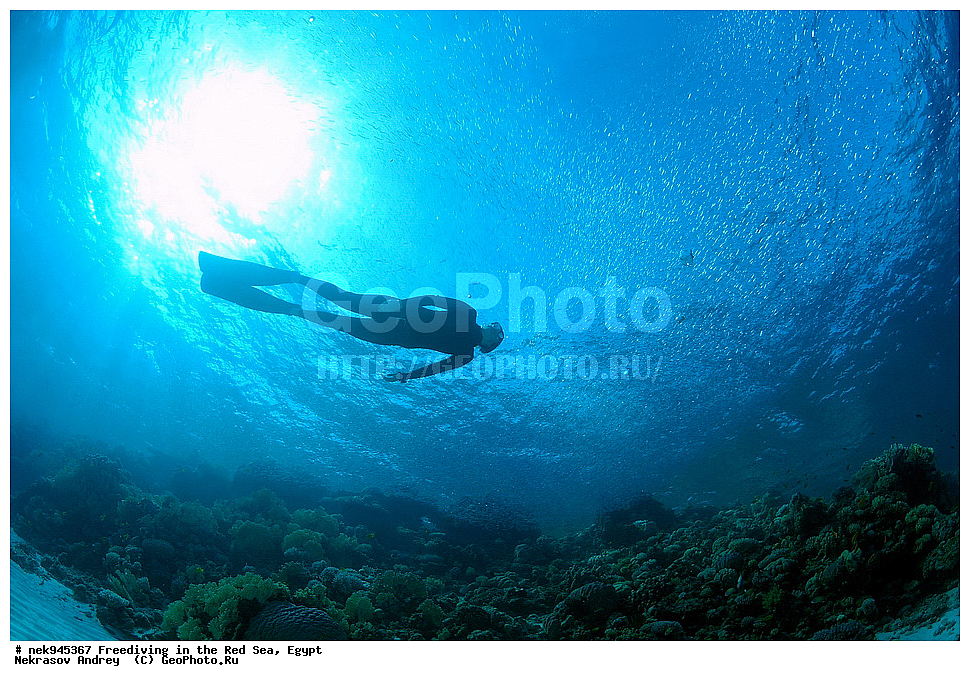 ��������� ���, ��� �����, ������� ����, ����, ��������� ����������, ������, ����������, ������, �����, �����, ���, ������, ������� ����, ����, ������, ���������, ��������, ��� �����, ���������, ���������, ���������, ���������, ��������� ���, ����������, �����, ������, ��������, ����������, ���������, �������, �������������, ����������, ������, ���, ����������