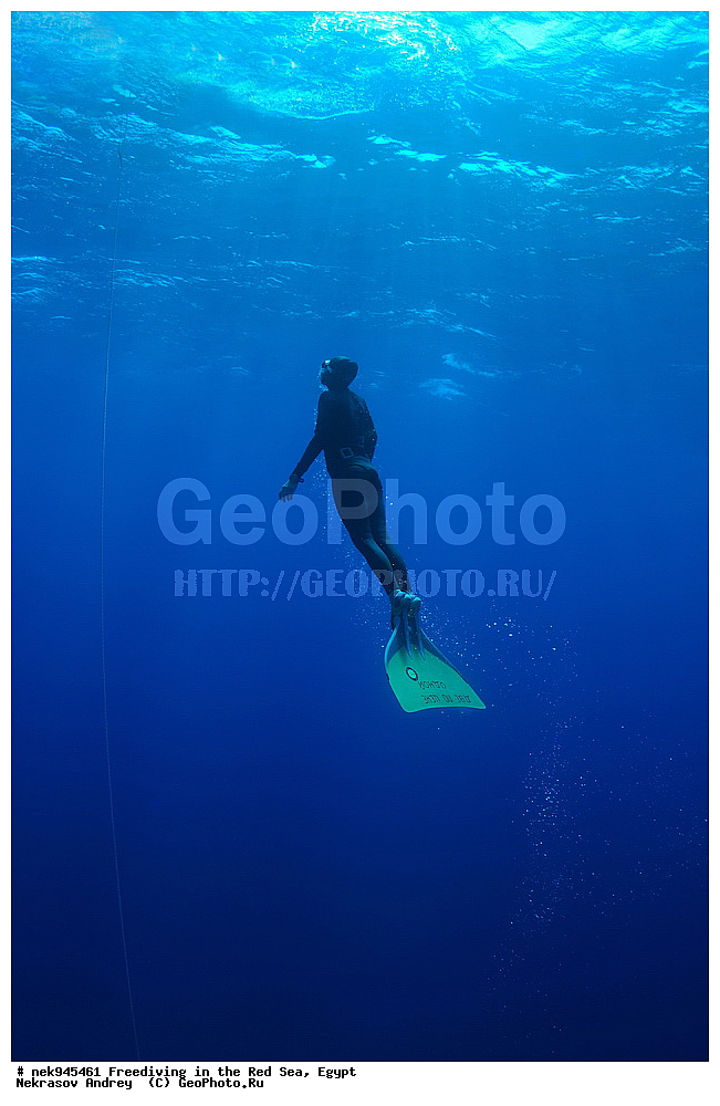 ��������� ���, ��� �����, ������� ����, ����, ��������� ����������, ������, ����������, ������, �����, �����, ���, ������, ������� ����, ����, ������, ���������, ��������, ��� �����, ���������, ���������, ���������, ���������, ��������� ���, ����������, �����, ������, ��������, ����������, ���������, �������, �������������, ����������