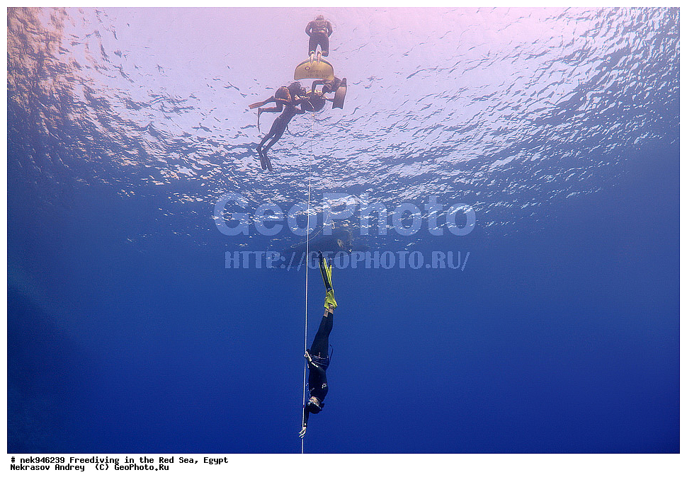 ��������� ���, ��� �����, ������� ����, ����, ��������� ����������, ������, ����������, ������, �����, �����, ���, ������, ������� ����, ����, ������, ���������, ��������, ��� �����, ���������, ���������, ���������, ���������, ��������� ���, ����������, �����, ������, ��������, ����������, ���������, �������, �������������, ����������